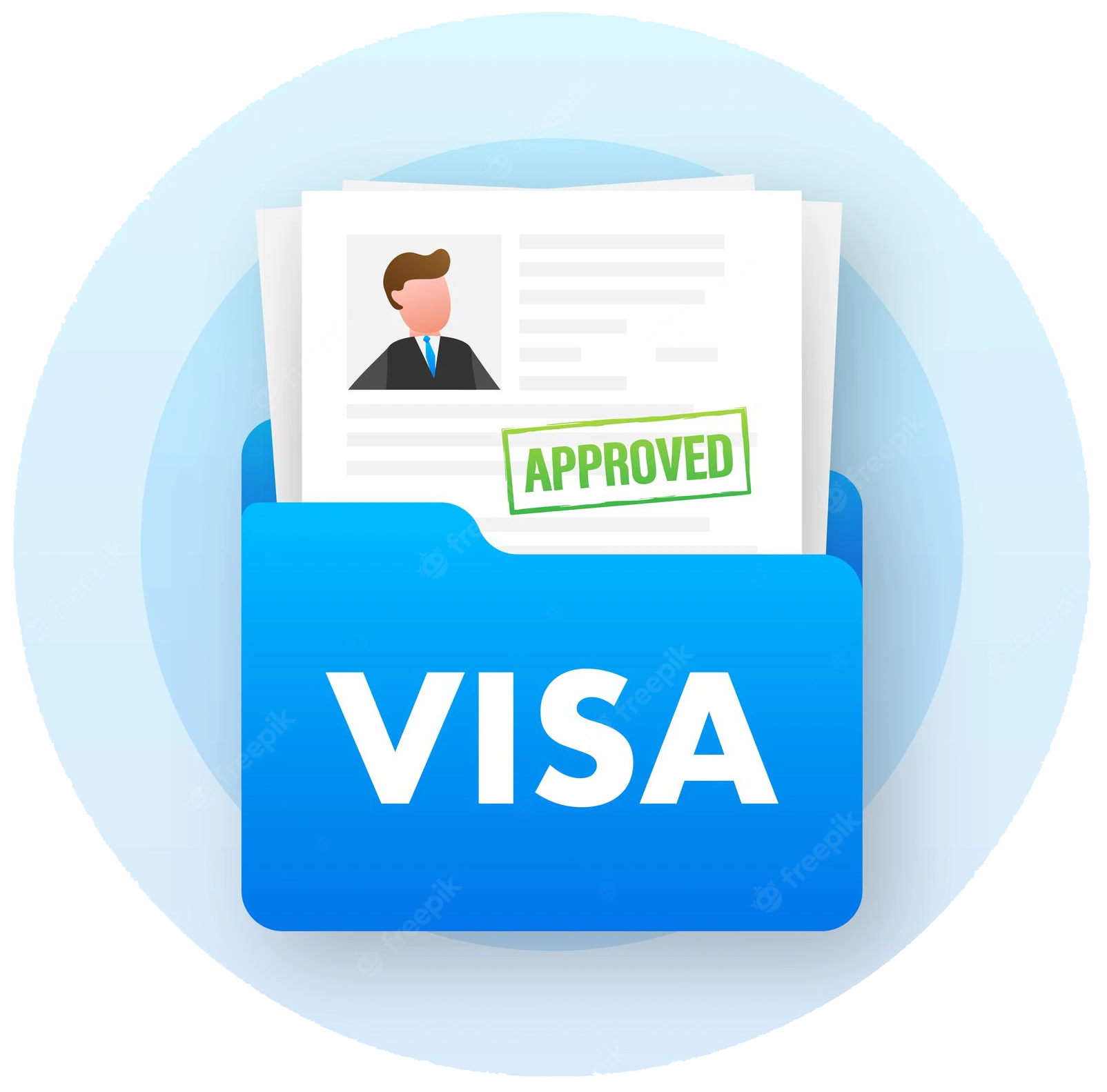 Visa Services Icon